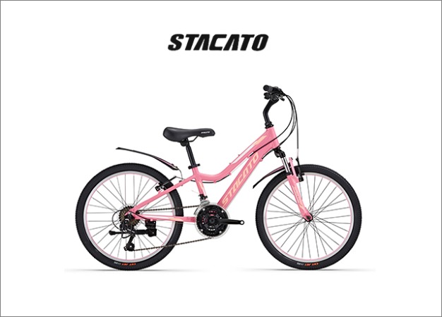 2020 스타카토 22 스펙터221 키즈자전거