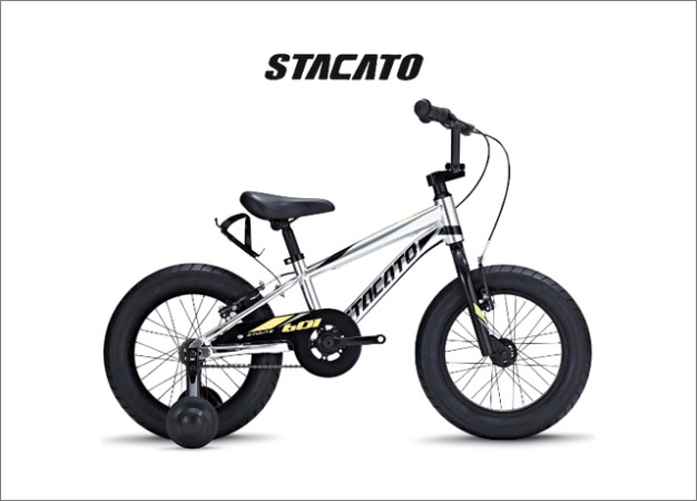 2021 스타카토 18 스타우트801 팻바이크 어린이자전거
